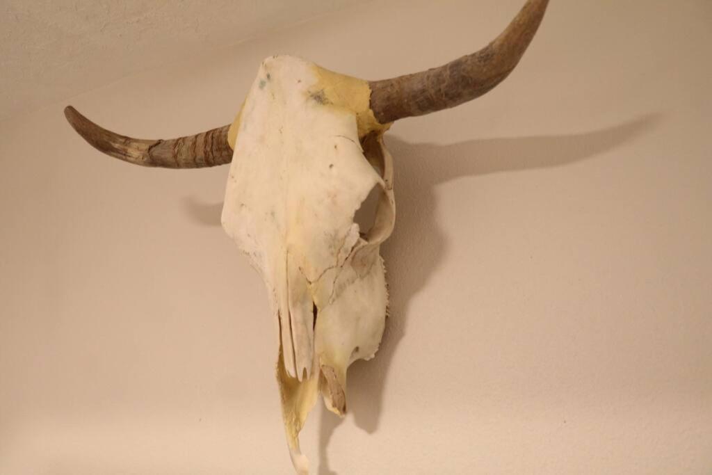 Cowboy Den-Hot Tub-Game Room-Pet Friendly-No Pet Fees! Albuquerque Exteriör bild